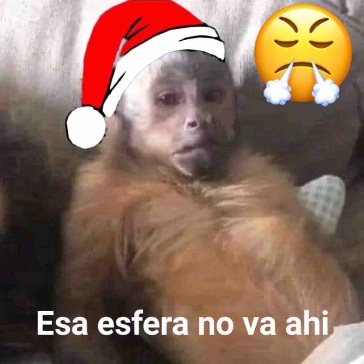 Guarromantico_'s tweet photo. Yo ayudando a poner el árbol: https://t.co/wU0ozuCWkq