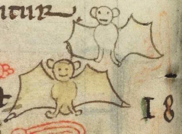 normal bats, england, 13th century