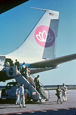 Kakarot ❤️ WELL3 🌈 tweet media