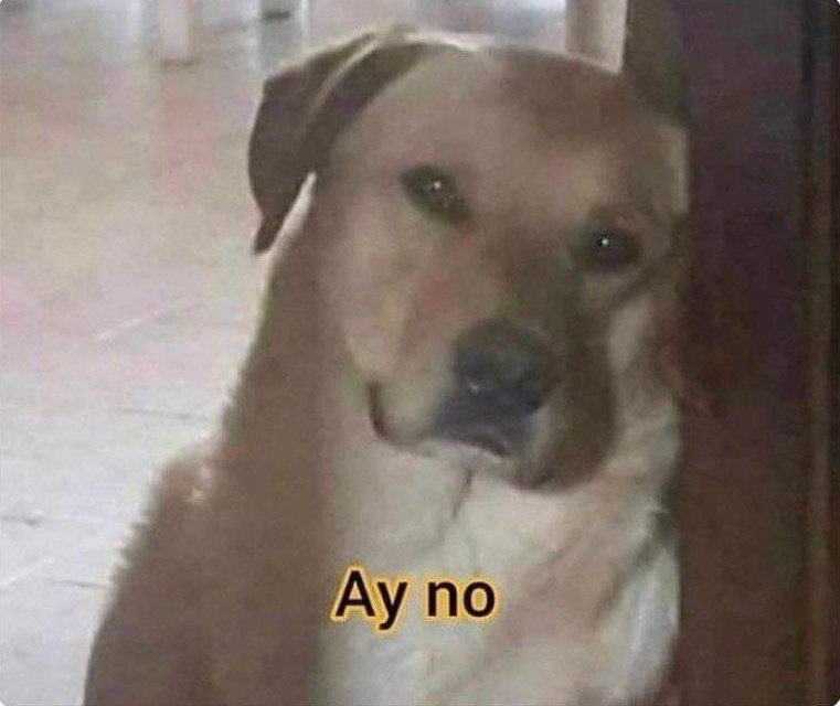 rita_re_pulsa's tweet photo. Fuimos al súper con mamá, ella iba tras de mi y de repente cuando doy vuelta ya no estaba. Después de 20 min de desesperación xq no le veía x ningún lado, escucho "Rita Fernández su madre la espera en la caja 5"... https://t.co/w6iolu1Jc8