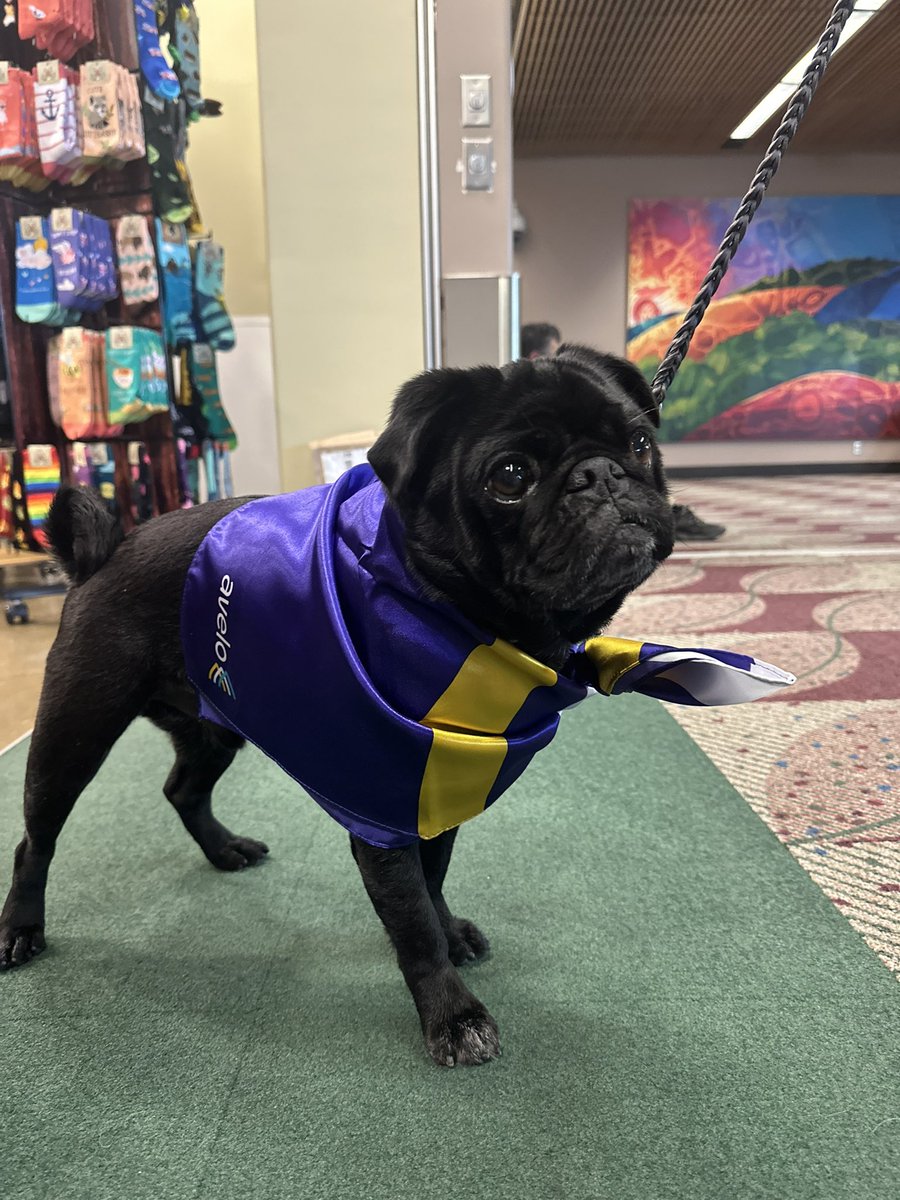 Madison Jones tweet media