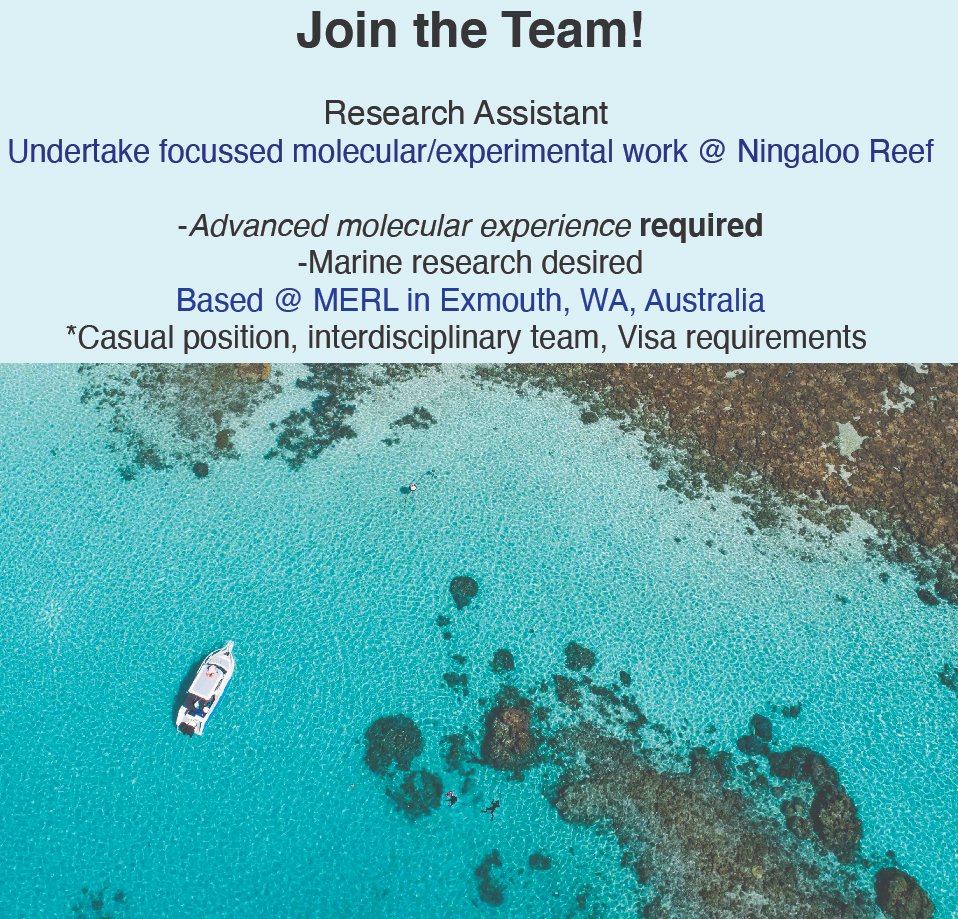 🪸 Exciting #job @ExmouthResearch 🐠 Successful applicant = demonstrated experience molecular methods + evidence of strong lab skills. Essential: pub(s) + Aus Visa work-rights. Pls send 1) CV, 2) Max. 1 page letter outlining suitability & interest to kquigley@minderoo.org