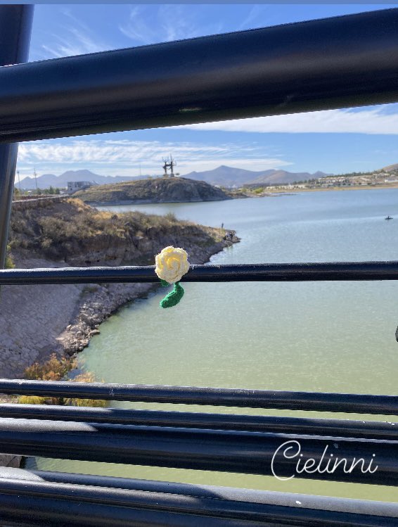 'Aquel que no se atreve a agarrar la espina no debería ansiar la rosa'.
 #annebronte 
#dejadoporahi #yarnbombing #rosa #cielinni