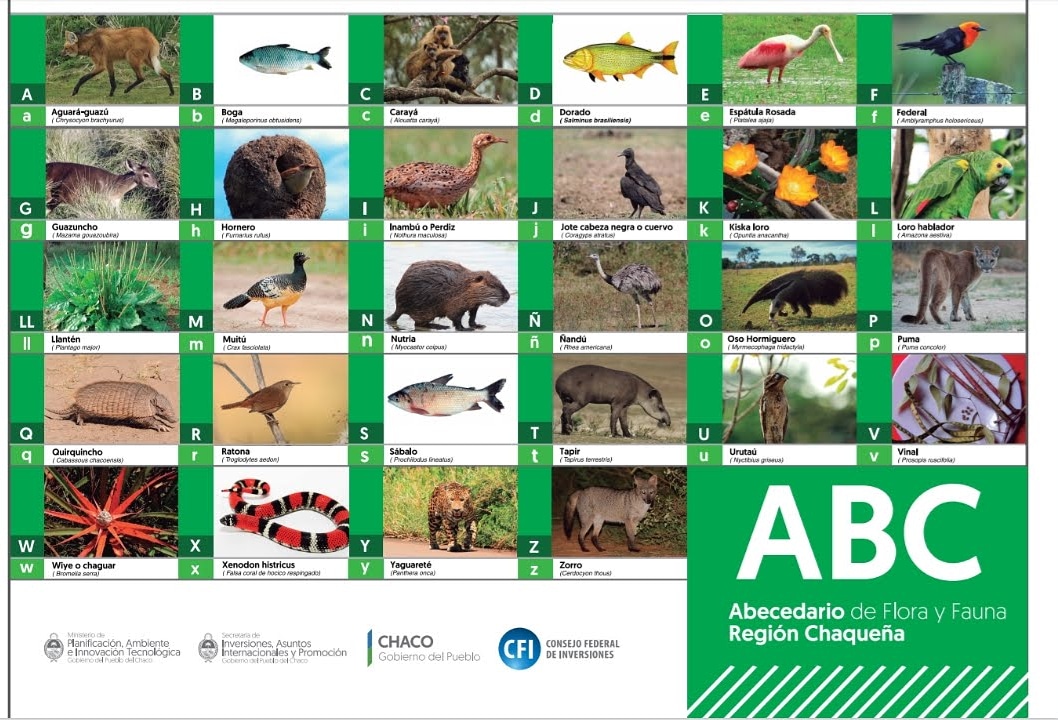 mali_serrano's tweet photo. Estoy orgullosa de haber sido alguna vez ministra de Ambiente, en el gobierno de @domingopeppo.
Un ministerio que dejará de existir el 10 de diciembre, tanto en el Chaco como en la Argentina.
Hicimos mucho: ODS, promoción, gestión y fiscalización ambiental.
Tristeza não tem fim. https://t.co/d32TFI5rhx