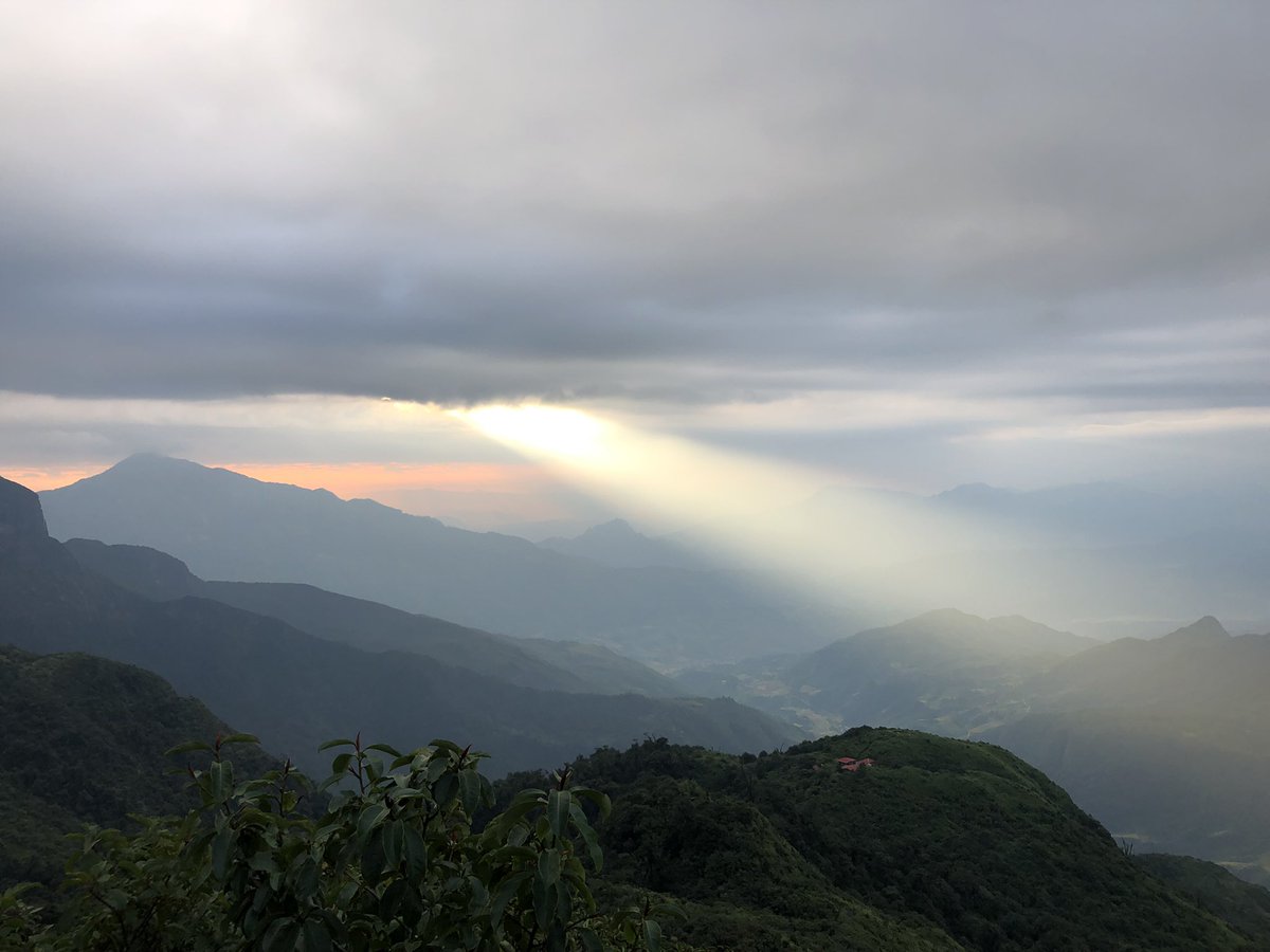 Mytrekking9794's tweet photo. Lảo thẩn thuộc địa phận huyện bát xát tỉnh Lào cao cách thị trấn sapa khoảng 80km có độ cao 2860m so với mực nước biển, là đỉnh núi cao thứ 14 trong top nhũng đỉnh núi cao nhất việt nam .
#rrekking
#laothan
#topdinhnuicaonhatvietnam https://t.co/FuJVaSpqR2