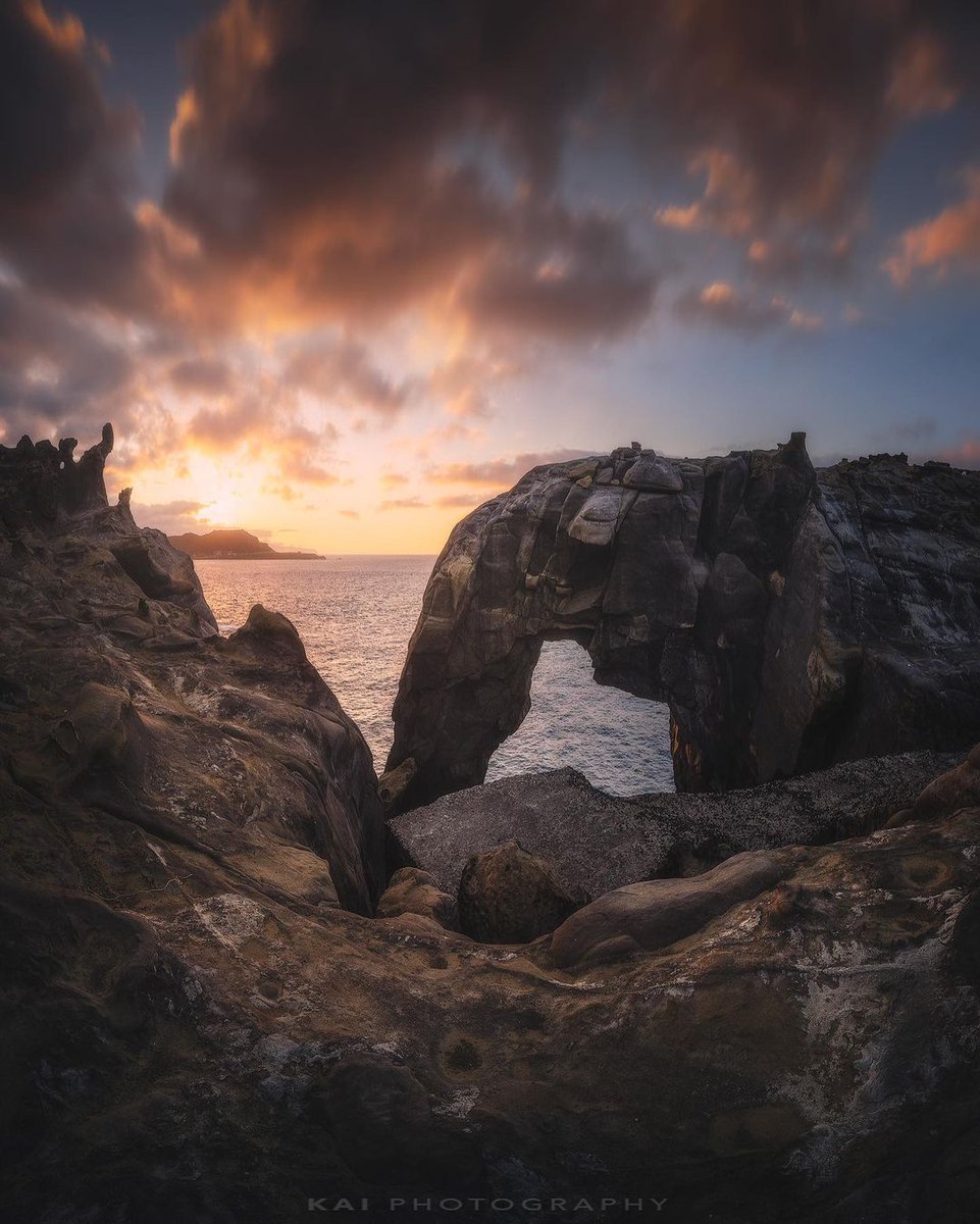 tocethad29907's tweet image. The flowers and leaves are fragrant, and the beautiful scenery lasts morning and night