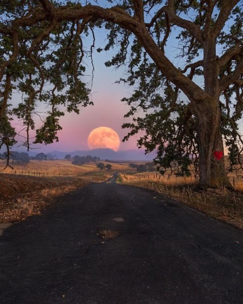 Full Moon rise.