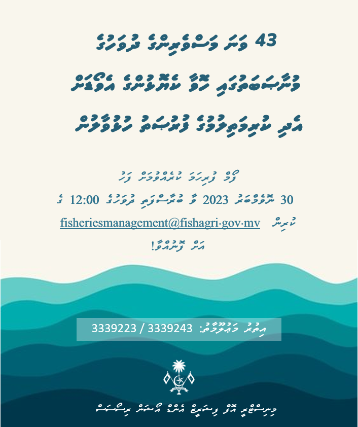 MFAORmv's tweet photo. 43 ވަނަ މަސްވެރިންގެ ދުވަހުގެ މުނާޞަބަތުގައި ހޮވާ ކެޔޮޅުންގެ އެވޯޑަށް އެދި ކުރިމަތިލުމުގެ ފުރުޞަތު މިހާރު ވަނީ ހުޅުވާލެވިފައެވެ.
ެ
ވެބްސައިޓް ލިންކް :- 
https://t.co/P9UOtvH8ij https://t.co/EEebsHDaOd