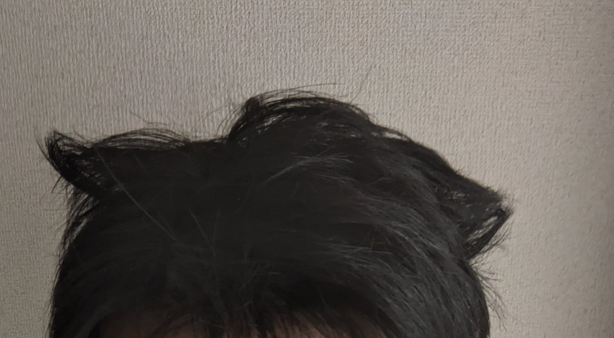 sitorin1118's tweet photo. 二度寝起床だけどあまりにも寝癖が猫耳過ぎて撮ったよねw https://t.co/pGgYZbm4ES