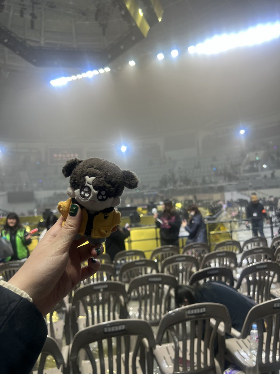 노래하는강아지 tweet media