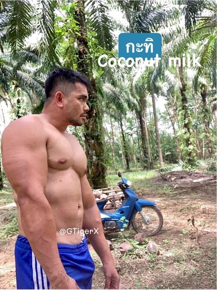 GTigerX's tweet photo. เป็นผู้ชายขายน้ำกะทิ คั้นสดๆ #ผู้ชายไซส์56 https://t.co/Sd32ZePT9W