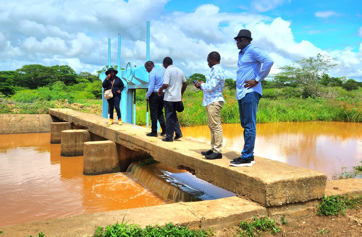 TardaKE's tweet image. 3:During the tour, Mr. Kimotho and the officials observed the various stages of Rice Production. The government's focus on reviving and expanding existing irrigation schemes aligns with its goal of achieving food security and even exporting surplus food in the coming years. #TDIP