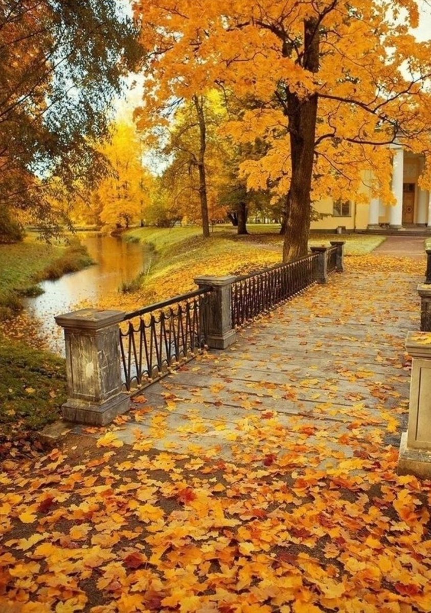 Sky15022010's tweet photo. Morning ☕🍁 have a good Tuesday https://t.co/NPp2o2Lm7c