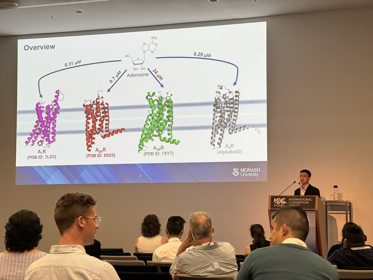 Such a strong showing by <a href="/MIPS_DDB/">MIPS DDB</a> at the <a href="/ASCEPTanz/">ASCEPT</a> #Ascept2023 Garth McQueen prize session this afternoon. Now we hear from Cam Sinh Lu