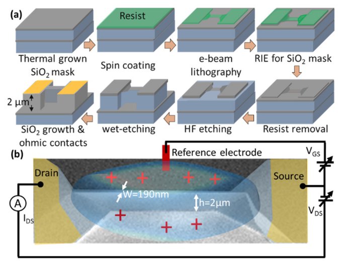 #Article Highly-Cited Paper
Combining Chemical Functionalization and FinFET Geometry for Field Effect #Sensors as Accessible Technology to Optimize pH #Sensing by Dipti Rani et al. 

👉mdpi.com/2227-9040/9/2/…

@MDPIOpenAccess @LIST_Luxembourg @UTwente

#nanowire #FieldEffect #pH