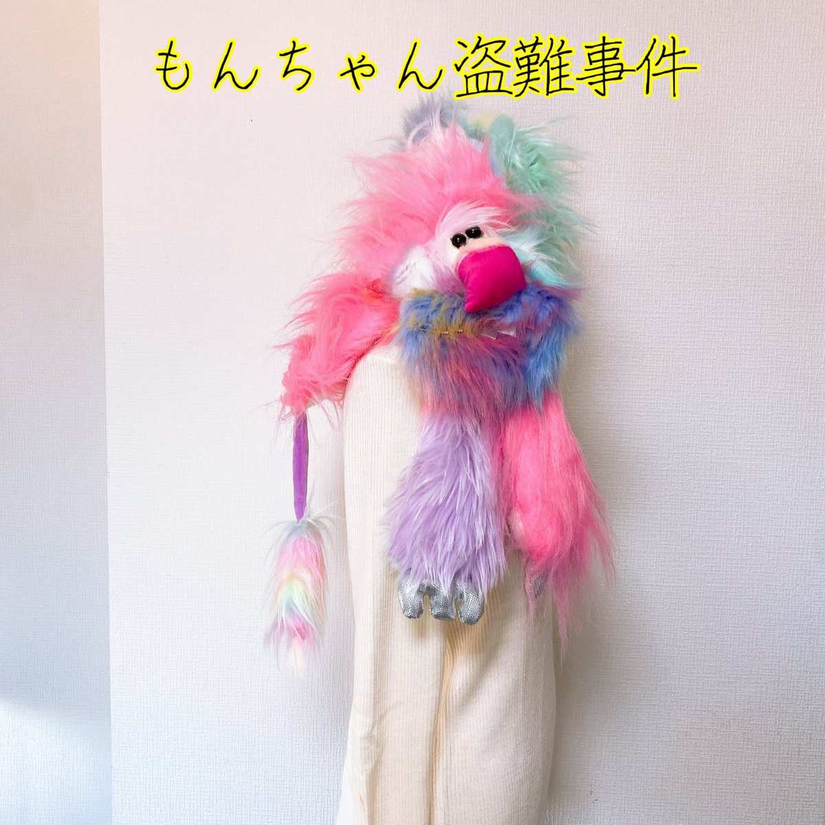 yokozxcv's tweet image. お客様のもんちゃんが盗難にあいました。
北海道の方、又は盗んだ本人は、近くの警察に自粛してください。
北海道でこのパステルもんちゃんをつけいる人を見たら警察に通報お願いします！
#拡散希望