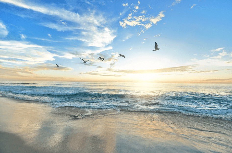 Good morning everyone ☕️