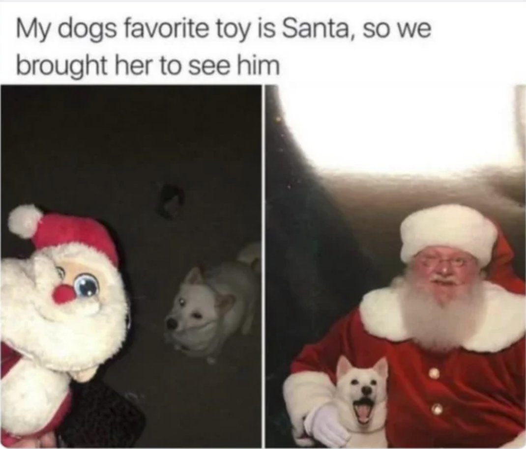 RespectfulMemes's tweet photo. https://t.co/rTBZRL7q5Z