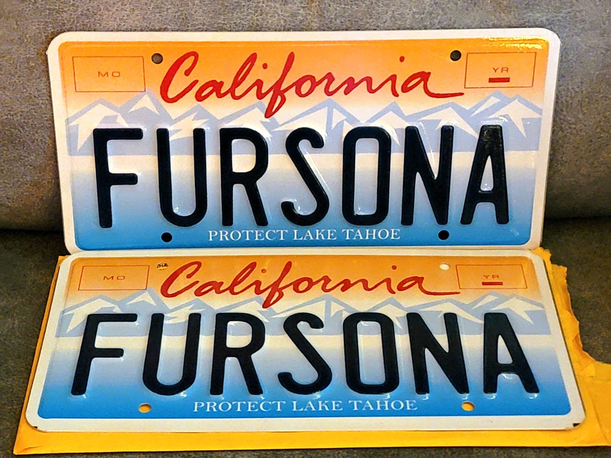 Did I win? Am I furrytrash now?
#Furry #Furries #furryfandom #furrycommunity #fursona #laketahoe #tahoe #protectlaketahoe