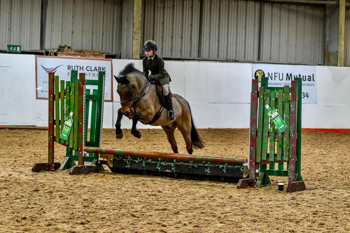 thetalllawyer's tweet photo. Beautiful photos taken at the show on Sunday by Helm Photography.

@boyandhispony you so deserved your win, you’re so dedicated to your sport &amp; have shown real courage getting back to it after that horrible fall in September. Up a level next time!
@Cressbrook_Sed https://t.co/IzPKdumN8C