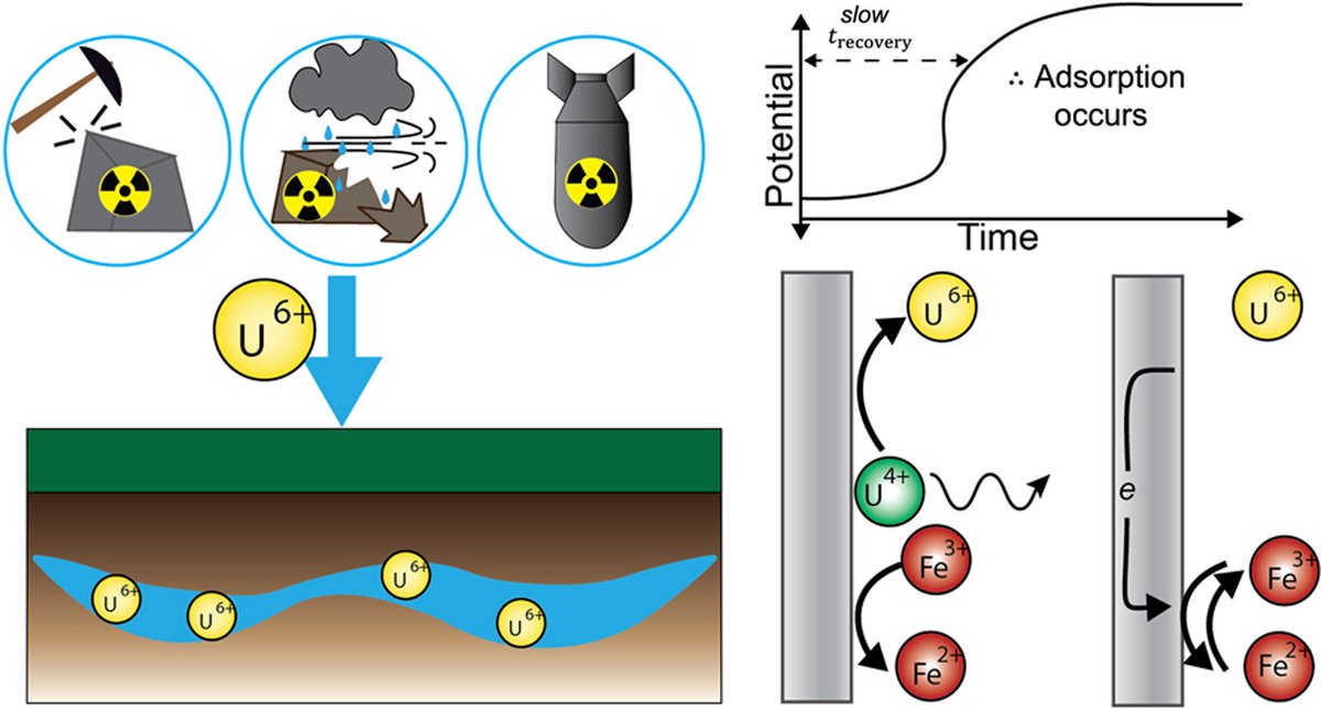 In the midst of the conference buzz last week, I forgot to share some exciting news! So proud of this work on the development of an electrochemical sensing technique for adsorption of uranium in aqueous systems. sciencedirect.com/science/articl…