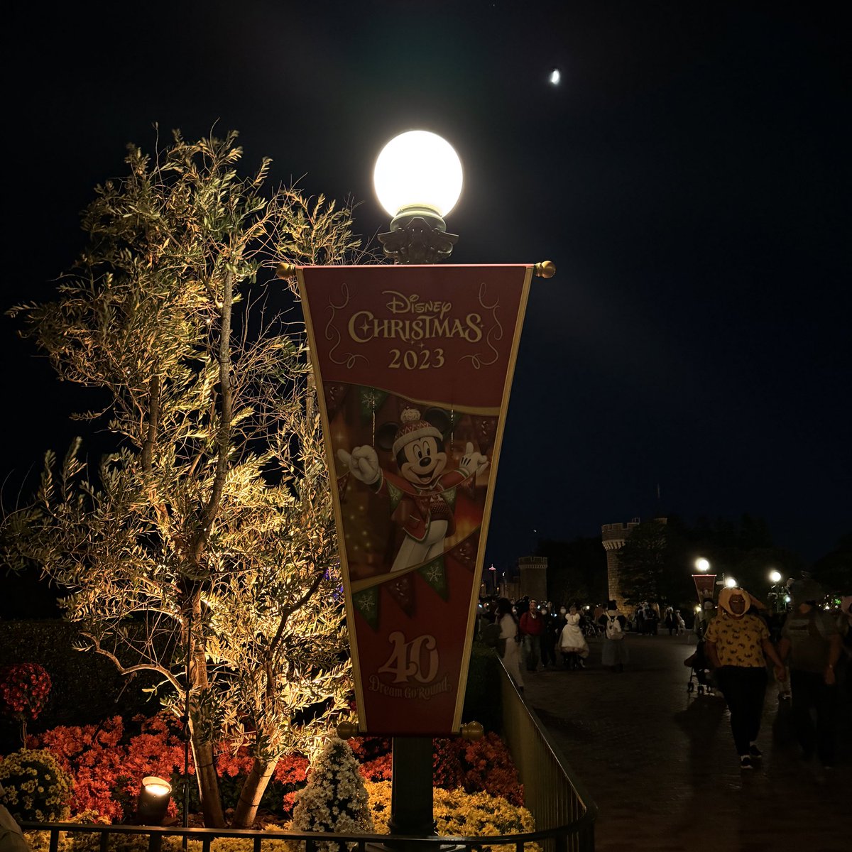 hrh9791's tweet photo. クリスマスディズニー最高 https://t.co/cFQKl7JwVs
