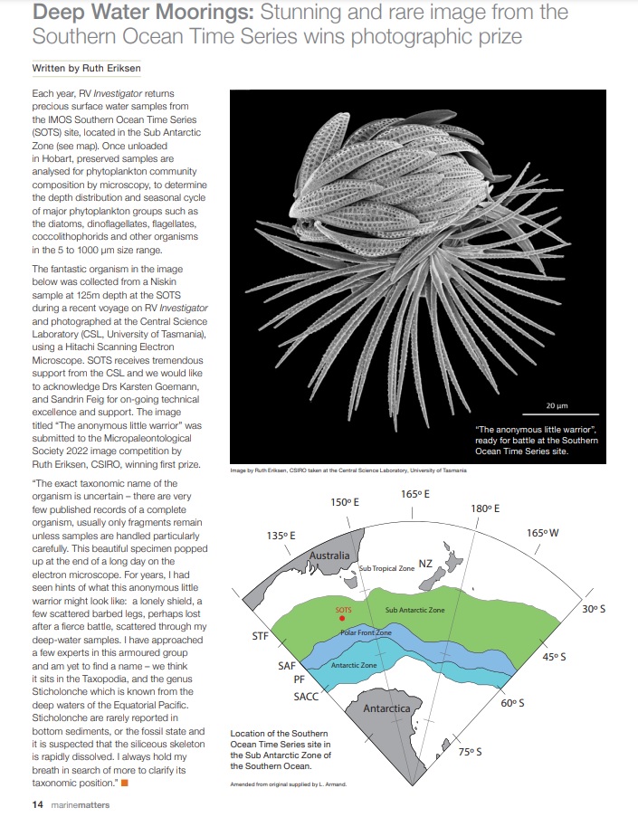 The anonymous little warrior” was
submitted to the Micropaleontological
Society image competition by <a href="/IMOS_Survey/">Australian_Plankton</a> Team member Ruth Eriksen <a href="/CSIRO/">CSIRO</a>, winning first prize! #phytoplankton