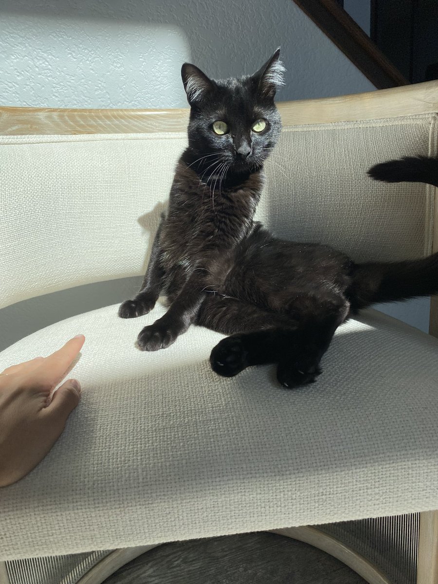 tranzgreshen tweet media