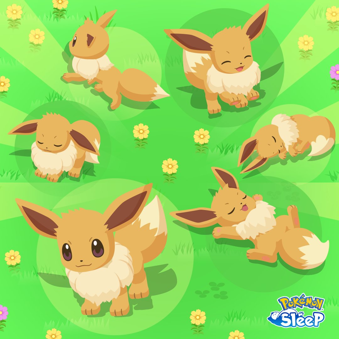 gelato pique(ジェラートピケ) ポケモンスリープ イーブイ