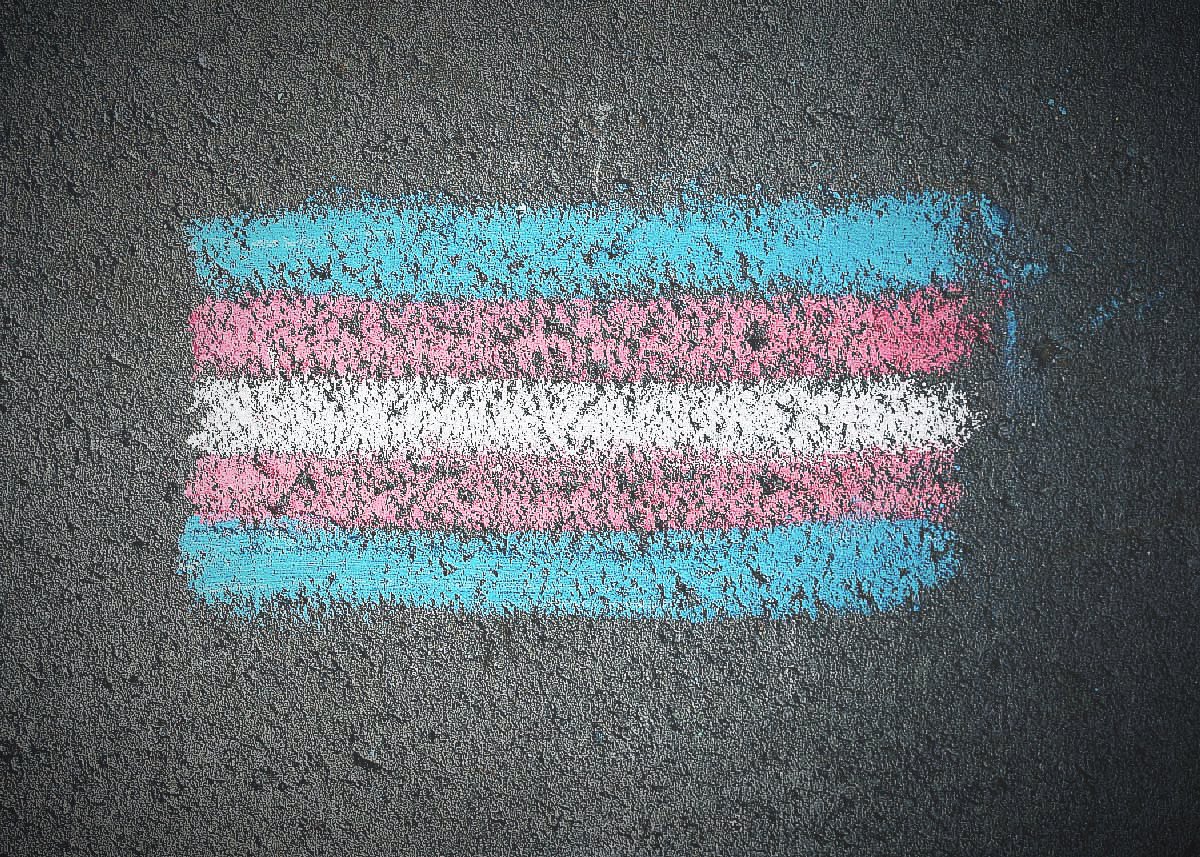 Trans Freedom Fund tweet media