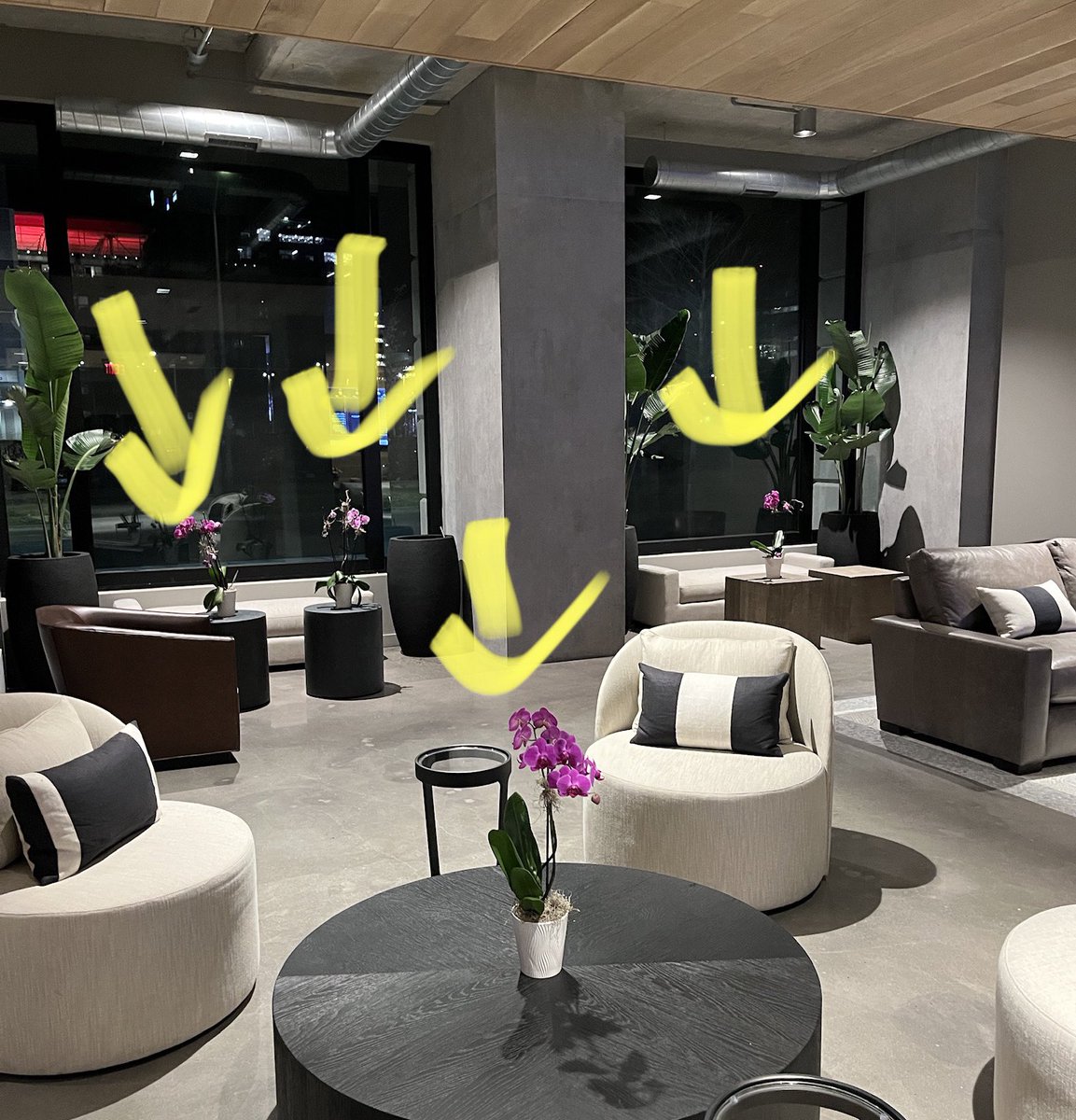 Pat Carino (d/b/a Acquisizioni) tweet media