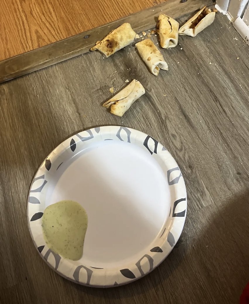 NicolleeeD's tweet photo. I wanted @tacobell so bad but I was like “nooo I don’t need to spend money” and made food at home and then I DROPPED IT ALL ON THE GROUND I SHOULDVE JUST GOTTEN TACO BELL 🫠 https://t.co/8mldsCMH6C
