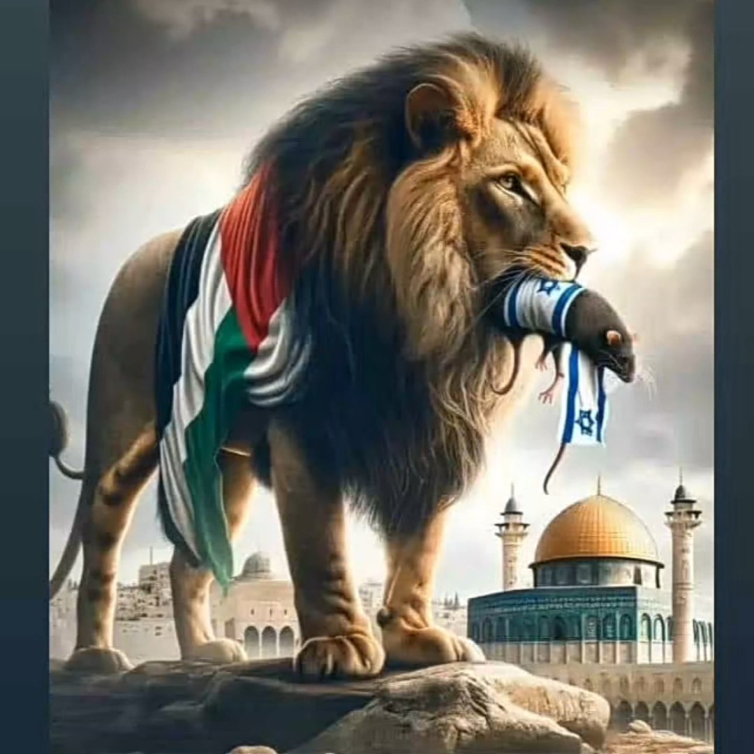 arif_rh007's tweet photo. كبروا فالنصر بإذن الله قادم
kabiruu falnasr bi'iidhn allah qadim

Grow up, for victory, God willing, will come
 
#FreePalestine  #IsraelIsATerrorist #freedom https://t.co/Q8ydWe0Yua