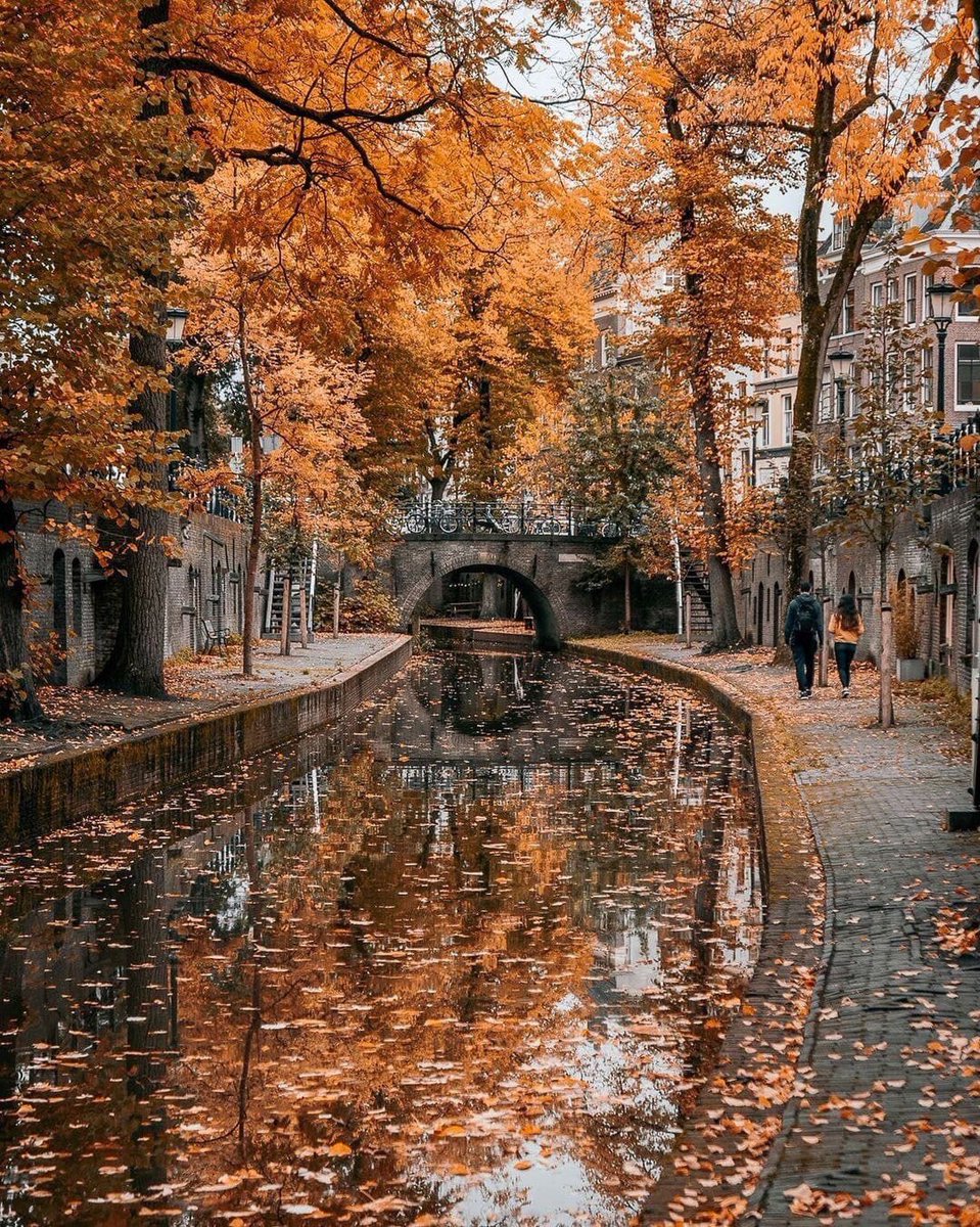 helena_mar19's tweet photo. Good Morning 
Have a Nice Day 

(Netherlands,📷Pinterest) https://t.co/NzSz6Vz36a