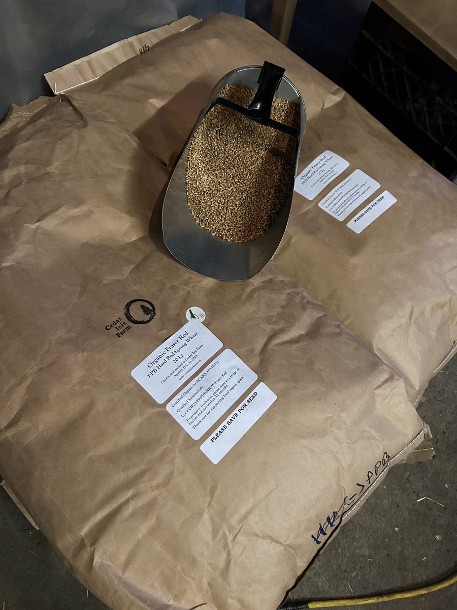 Michelle Carkner tweet media