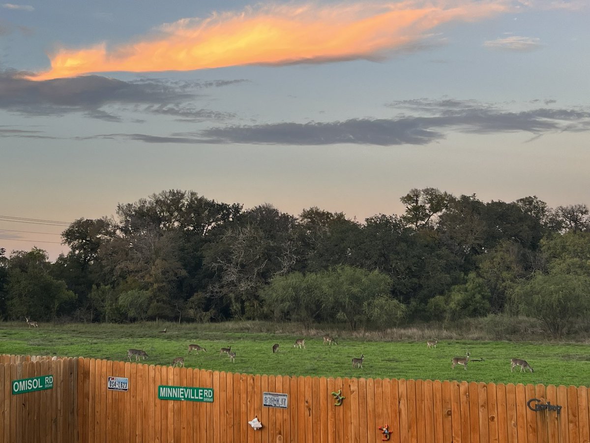 Don Tony tweet media