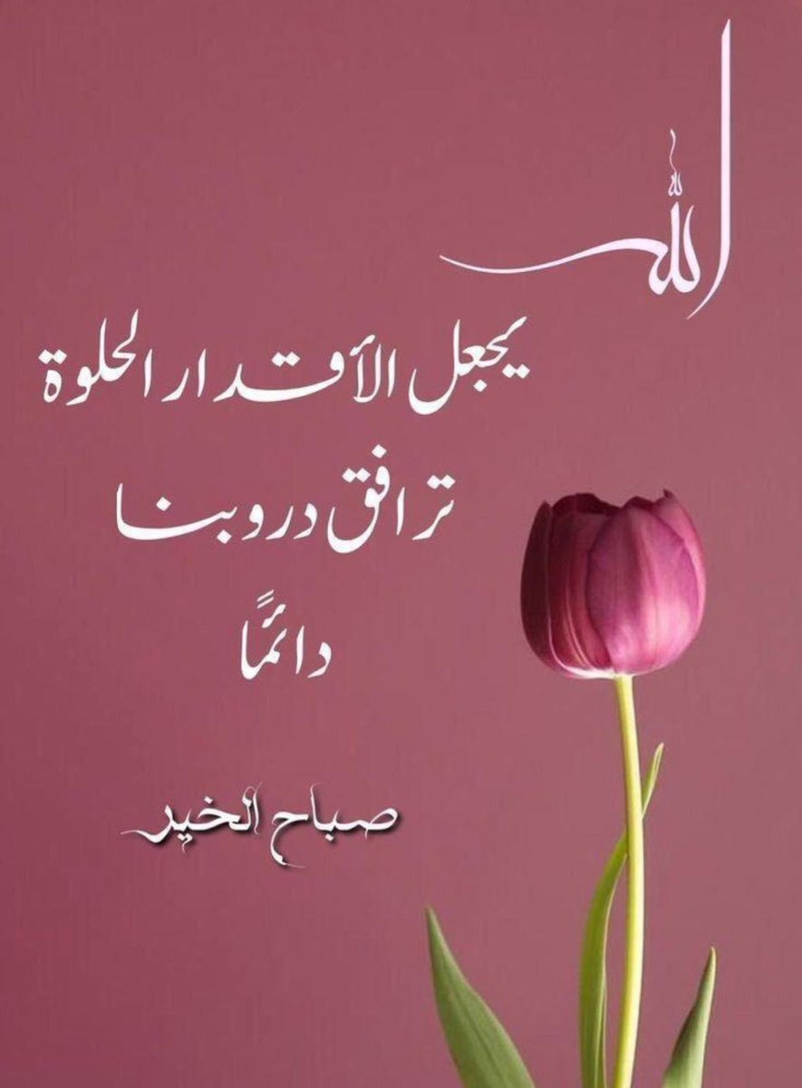 nooralayan31's tweet photo. https://t.co/slhpnEioSV