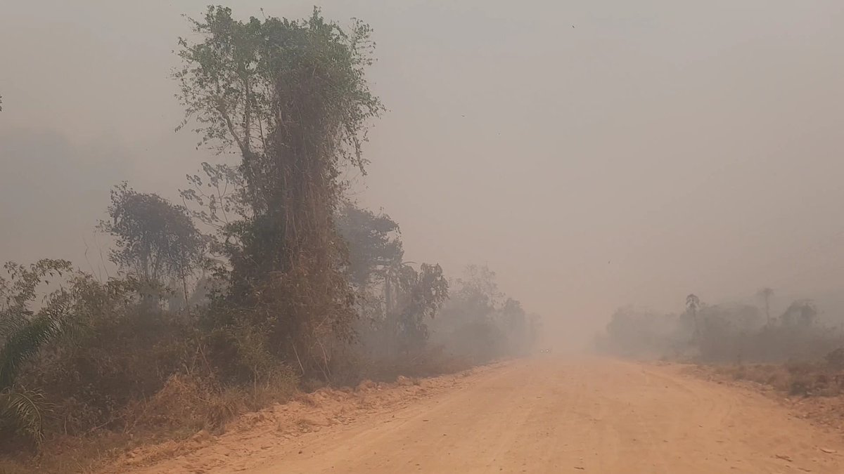noticiasfides's tweet photo. 🔵 #ANF | #PueblosIndigenas “Todo se ha quemado”, tacanas piden ayuda y critican a la Gobernación paceña por falta de apoyo

Lea la nota aquí 👉 https://t.co/mNiwEXND3M https://t.co/CxpnV9alG9