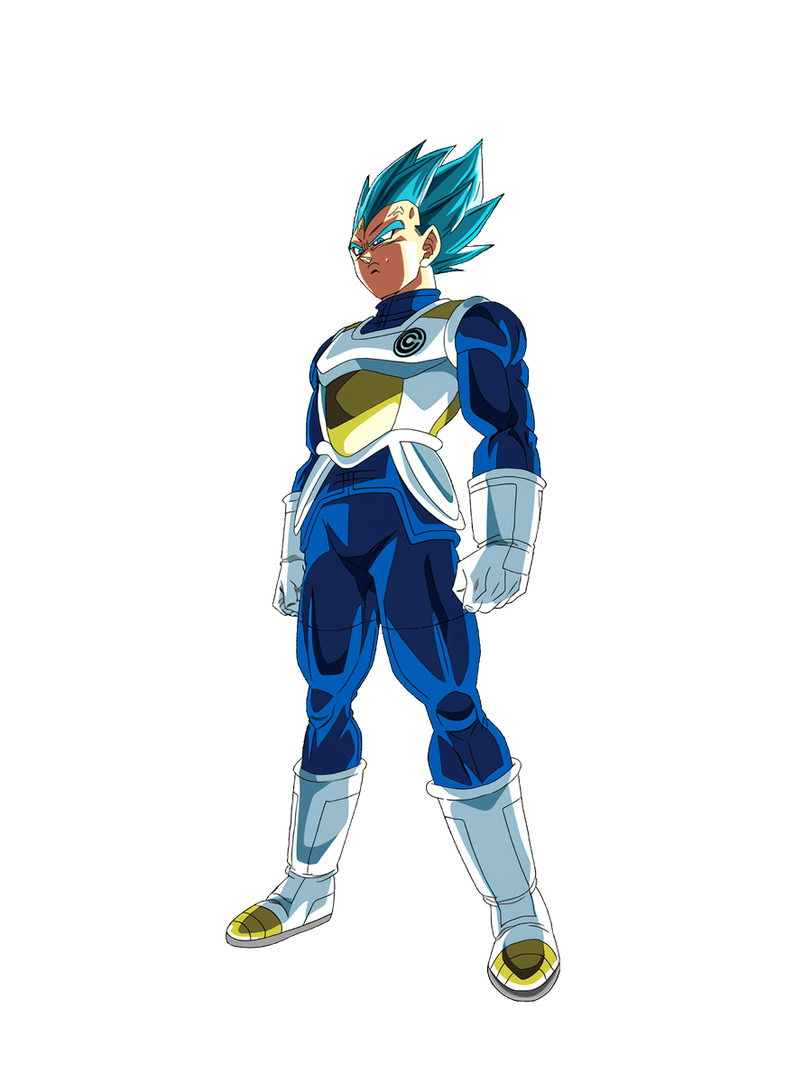 暴走ベジータ スーパードラゴンボールヒーローズ BM8-SEC2 ベジータ