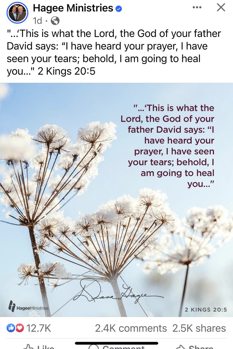 Jamie Yasko Mangum (@j_yaskomangum) on Twitter photo 