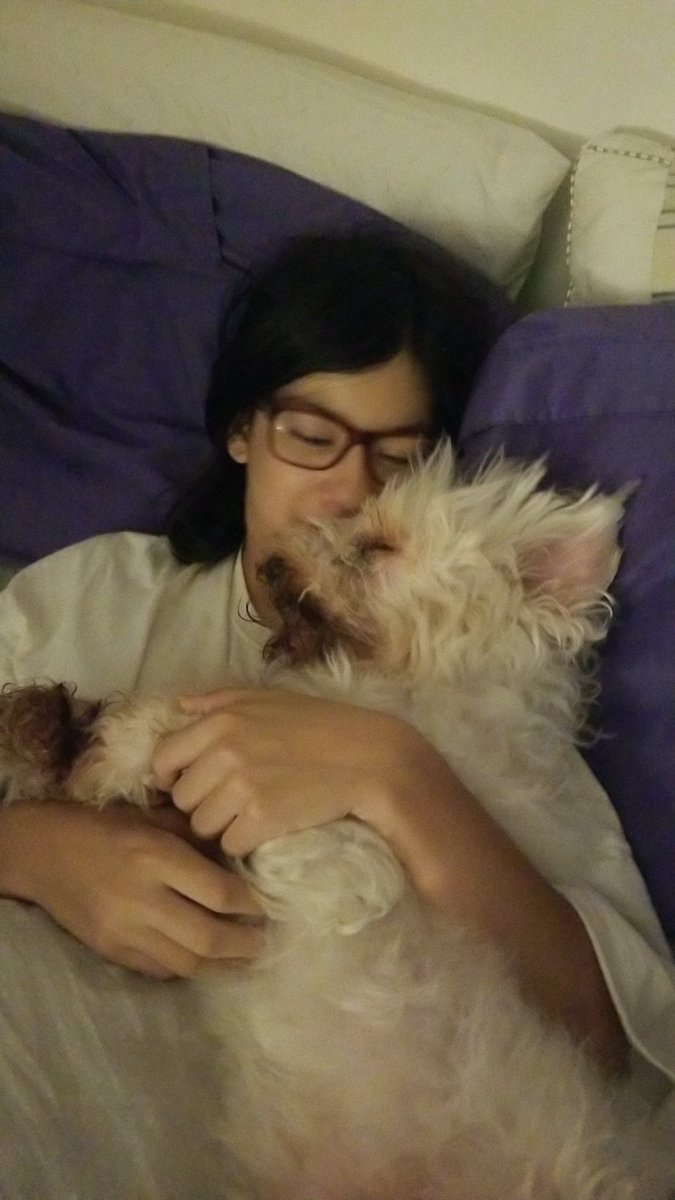 bbbastiannn's tweet photo. My dog that I grew up with since I was 8 years old had to be put down this morning. I wish I could’ve gave him a proper goodbye. It was so abrupt. I’m going to miss him so fucking much. https://t.co/ZUjff1NSdm