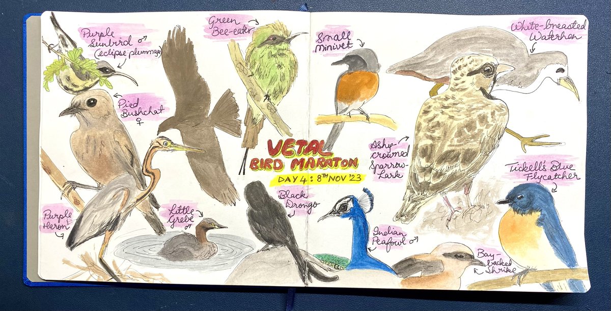 Ranjeet Rane tweet media