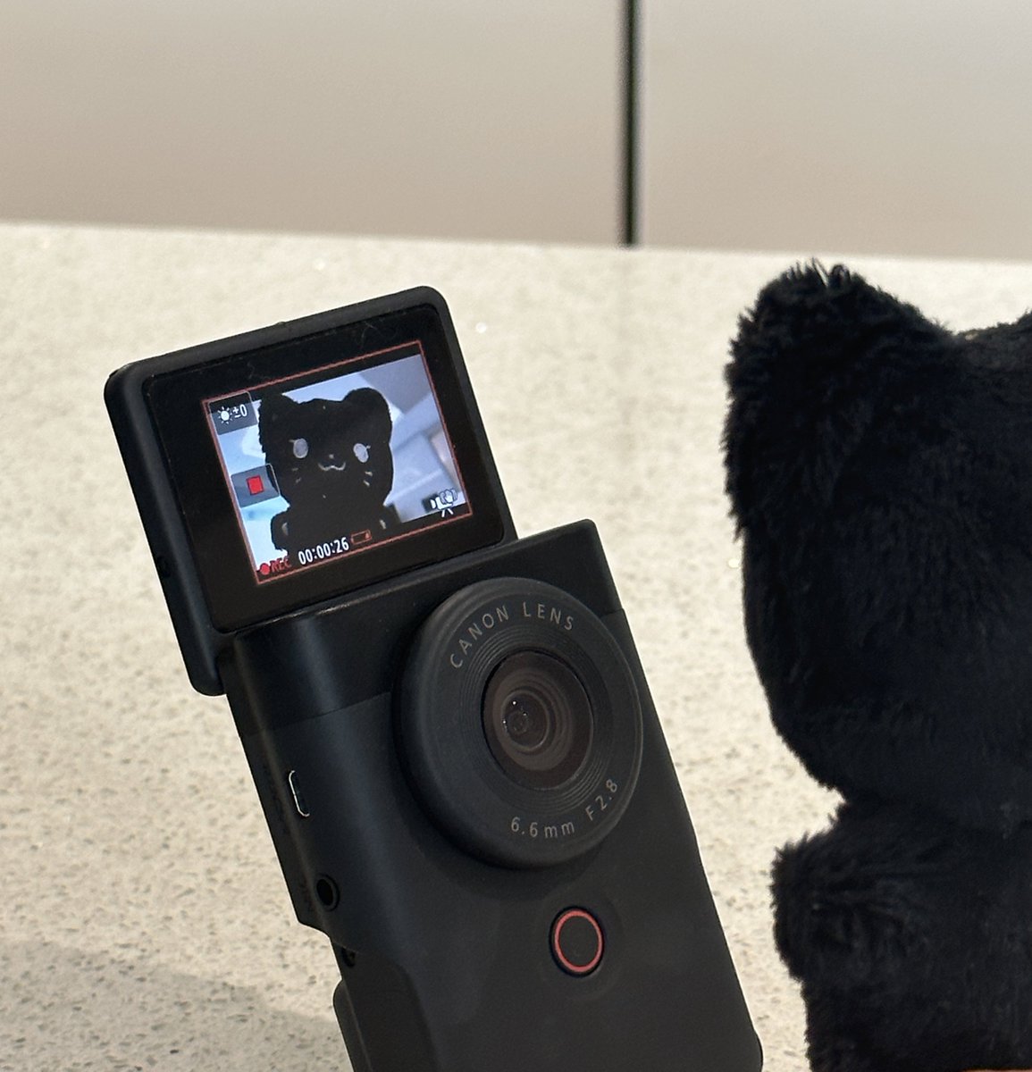 깜탱냥 재고판매 폼은 11/29에 오픈 예정입니다🐈‍⬛