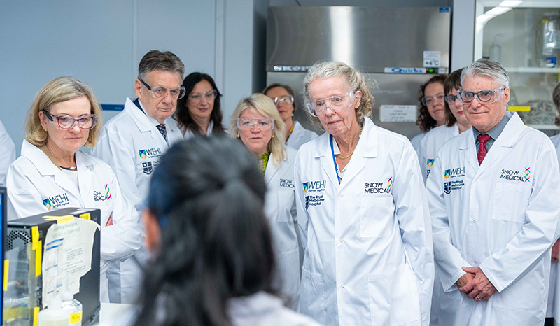WEHI (Walter and Eliza Hall Institute) tweet media
