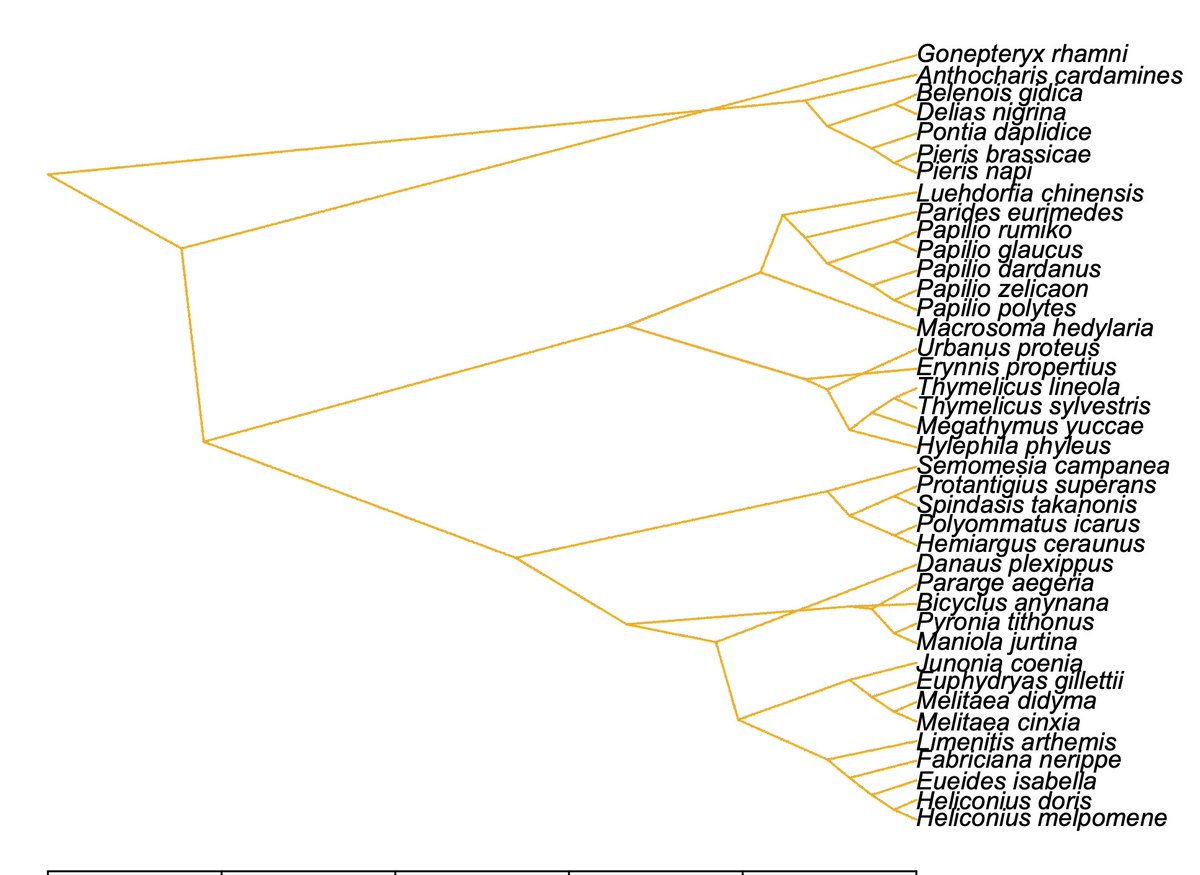 HernanHVM's tweet image. Now, which function to use for cloudogram plotting? Phangorn&apos;s (L) or #phytools (R)? Maybe let the #SistematicaUNAM kids decide how they prefer to see 🦋 gene-tree congruence...