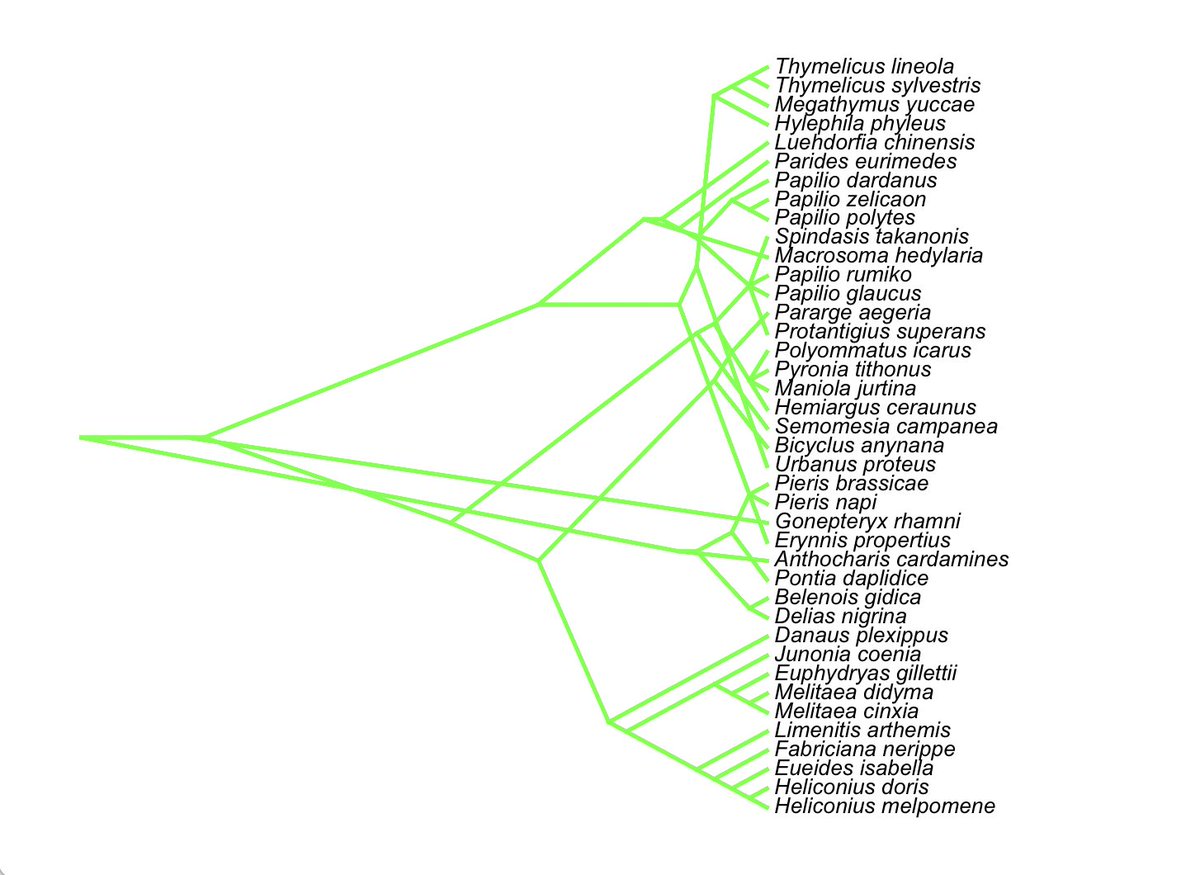 HernanHVM's tweet image. Now, which function to use for cloudogram plotting? Phangorn&apos;s (L) or #phytools (R)? Maybe let the #SistematicaUNAM kids decide how they prefer to see 🦋 gene-tree congruence...