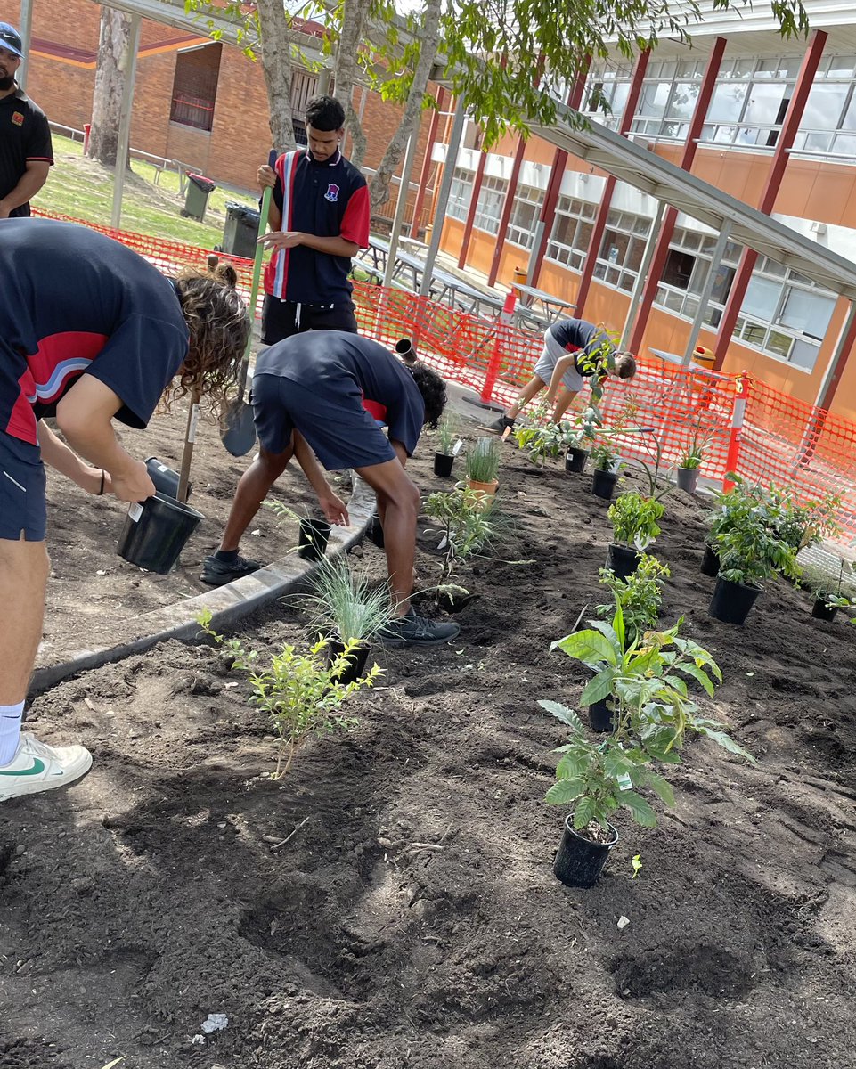 The design that the #FirstNations students from #KempseyHS #Clontarf is taking shape and the native #foodforest went in today - looking forward to working with the school &amp; creating an amazing resource for the school &amp; community #youthcommunitygreening 🌱🌳