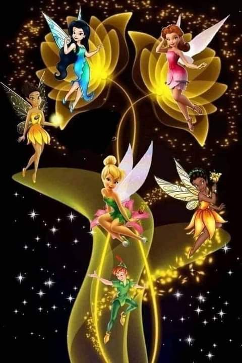 Buenas noches 🌹🌹