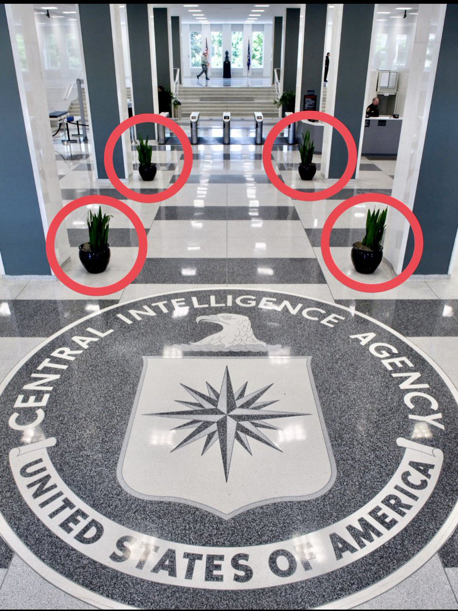 illuminatibot tweet media