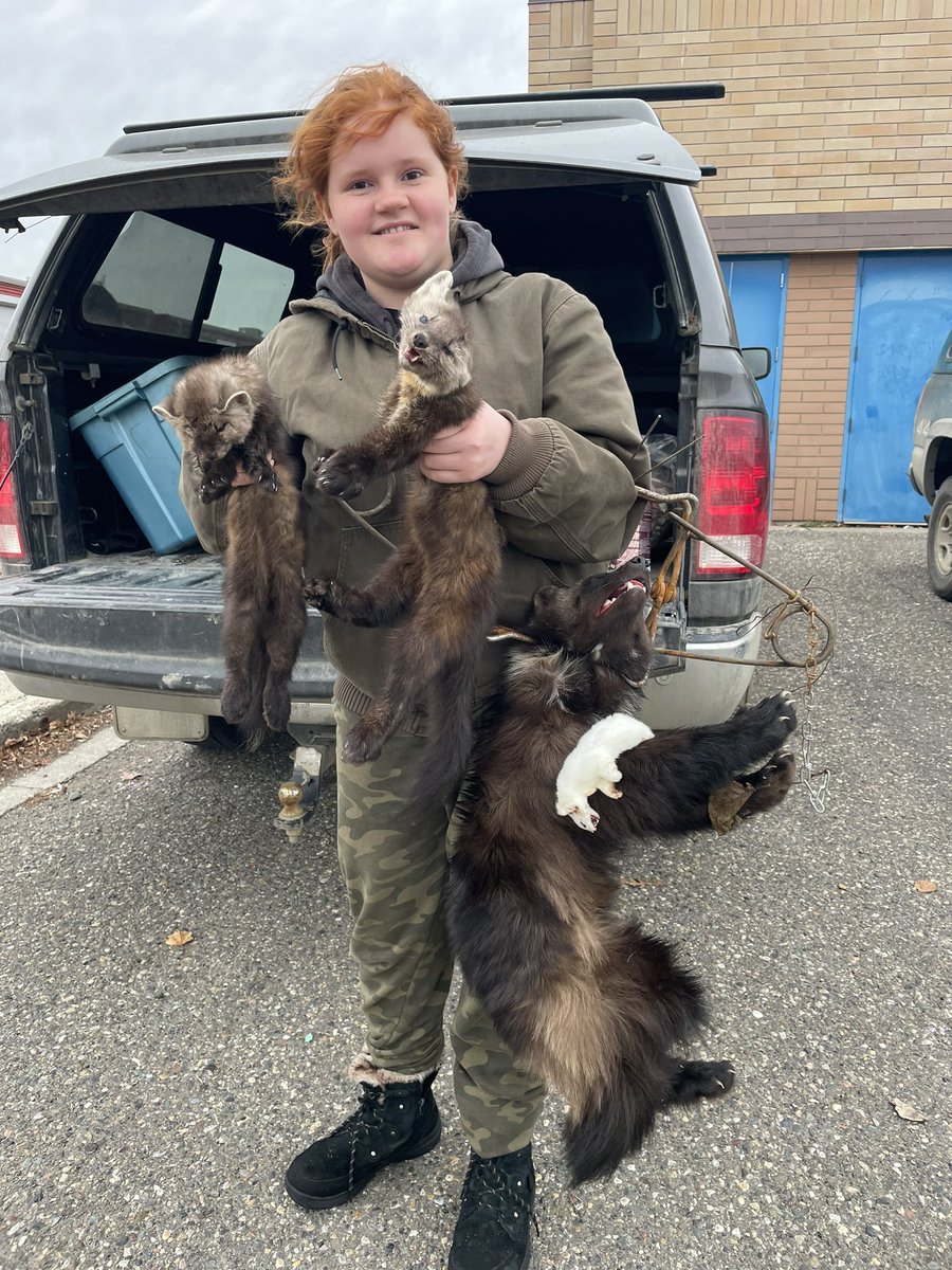 It’s an even better day on the trapline when you get your first wolverine. A couple marten &amp; weasel were a bonus. We had <a href="/dptstrojans/">D.P. Todd Secondary</a> <a href="/CHSSCougars/">College Heights Sec.</a> <a href="/VanBienSD57/">Van Bien</a> &amp; Peden Hill out. <a href="/SD57PG/">School District No. 57 (Prince George)</a> @leekarpenko <a href="/Stephymarie33/">Stephanie Davies</a>